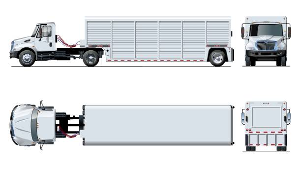 vektor semi truck vorlage isoliert auf weiss - truck semi truck vehicle trailer rear view stock-grafiken, -clipart, -cartoons und -symbole