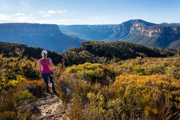 istock Adventurous female hiker descending down the mountain 999123268