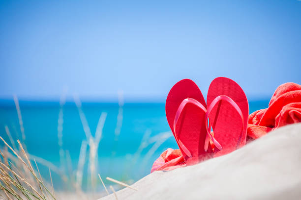 Adult and child footwear of different sizes on a sandy beach.