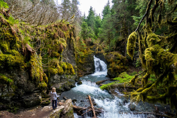Woman looking at rocky waterfall Lonely woman looking at Virgin creek falls in the Chugach National Forest, Alaska chugach national forest photos stock pictures, royalty-free photos & images