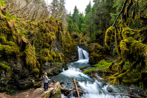 Woman looking at rocky waterfall Long exposure of a lonely woman looking at Virgin creek falls in the Chugach National Forest, Alaska chugach mountains photos stock pictures, royalty-free photos & images