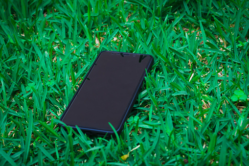 Smart phone with blank screen as copy space lying on grass in background.