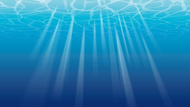 ilustrações, clipart, desenhos animados e ícones de sob reflexões de superfície do mar - undersea
