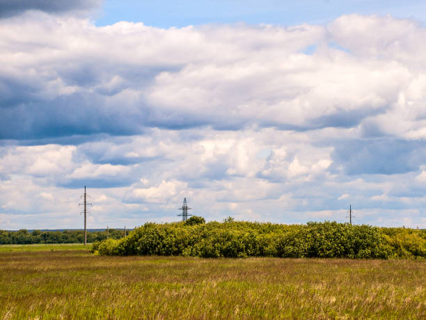 Meadow,  forest, clouds Meadow, forest, clouds, telegraph poles. european part of Russia tambov oblast photos stock pictures, royalty-free photos & images