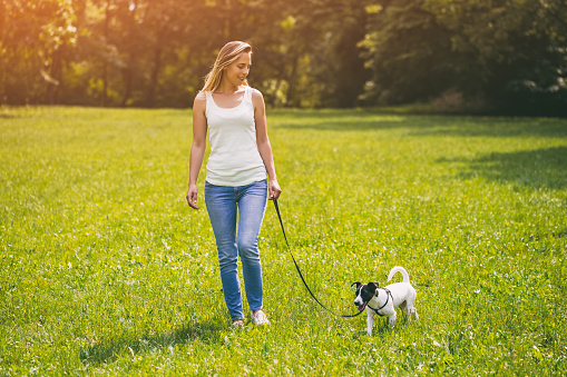 Beautiful woman enjoys walking with her  cute dog Jack Russell Terrier in the nature.Image is intentionally toned.