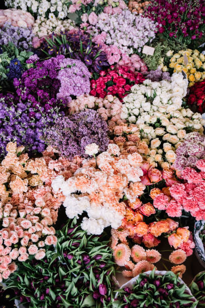 istock Endless flower bed of roses, carnations, ranunculus, orchids, gerbera, mattiola, eustoma, eucalyptus, peonies, at the florist shop, top view, flat lay 999135976