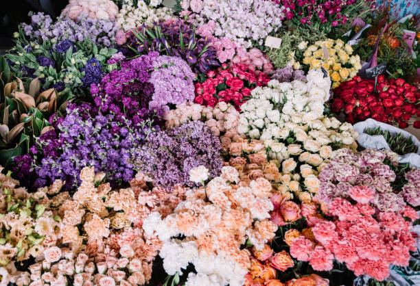 istock Endless flower bed of roses, carnations, ranunculus, orchids, gerbera, mattiola, eustoma, eucalyptus, peonies, at the florist shop, top view, flat lay 999136022