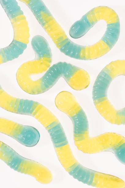 istock top view of gummy candies 999160008