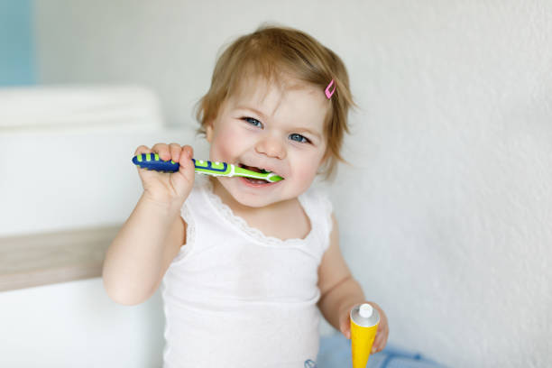 Little baby girl holding toothbrush and brushing first teeth. Toddler learning to clean milk tooth. Little baby girl holding toothbrush and brushing first teeth. Toddler learning to clean milk tooth. Prevention, hygiene and healthcare concept. Happy child in bathroom. baby teeth stock pictures, royalty-free photos & images