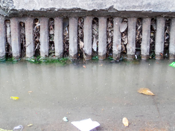 istock drainage clogs by waste and garbage and dry leaves 999177372