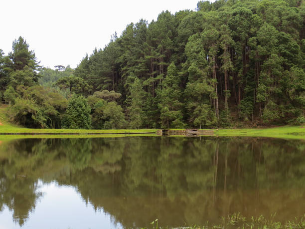 istock Tranquil lake with forest reflection in the background. 999186032