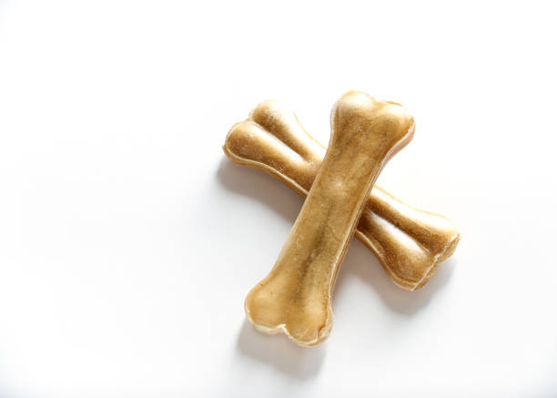 istock dog food bones isolated on white background 999222700