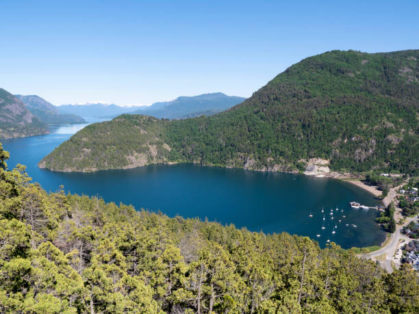istock Lake Lacar, Patagonia Argentina 999222774