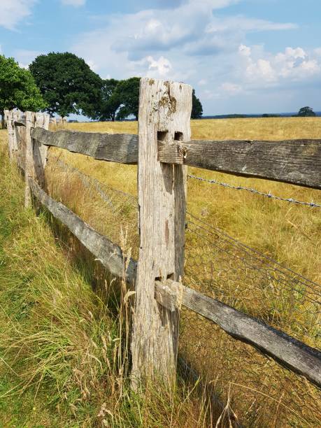 istock Wood fence enclosing meadow. 999245878