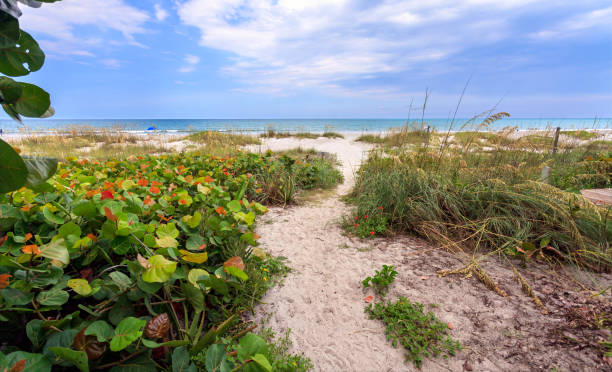 istock Heading to the Beach 999274260
