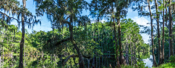 istock Shingle Creek Nature Preserve Panoramic View 999274904