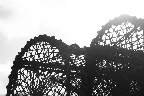 Black and white silhouette of lobster nets on a white background with text space.
