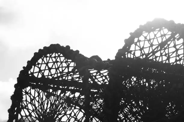 Photo of Black and White Lobster Net Silhouette