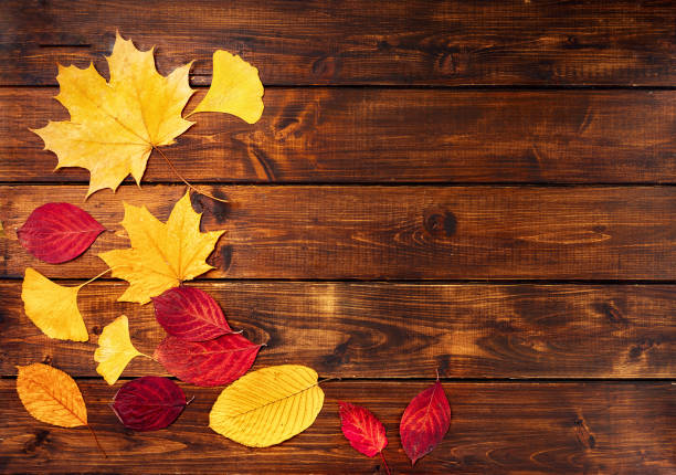 istock Colorful dry leaves on wooden background 999323010