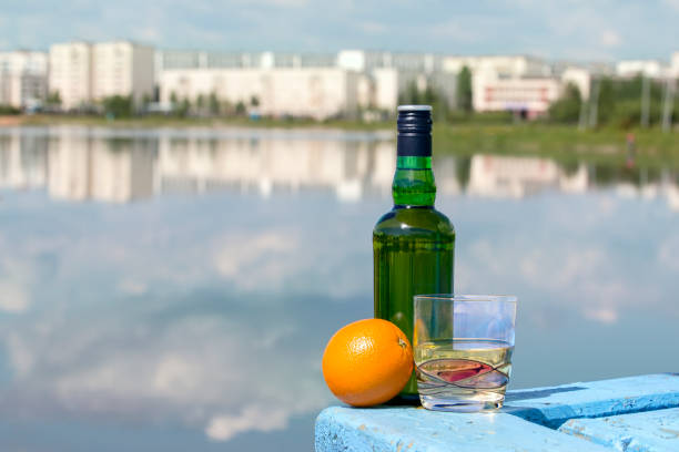 d:\фотоeos60\предметы\alcohol\621091bottle di whisky e vetro con arancia sulla riva del lago.jpg - gin decanter whisky bottle foto e immagini stock