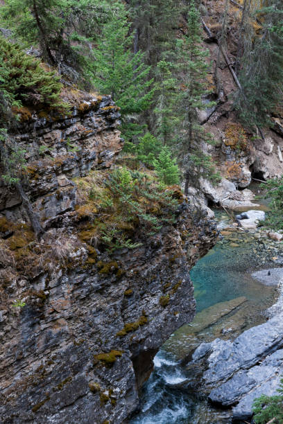 istock Johnston Canyon the Canadian Rocky Mountains, Alberta, Canada 999334568