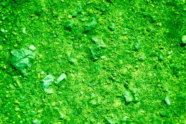 Ultra green Ground texture, sand surface, stone background, good for design elements.