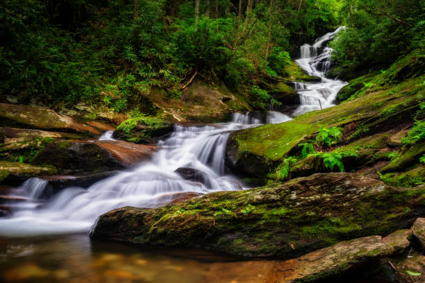 roaring fork falls w pobliżu blue ridge parkway w górach karoliny północnej - blue ridge mountains blue ridge parkway north carolina mountain zdjęcia i obrazy z banku zdjęć