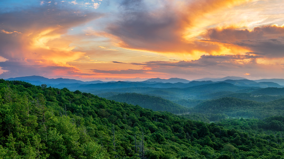 Rolling hills covered in vibrant autumn colored treetops during sunset in the Smokey Mountain national park in Tennessee.