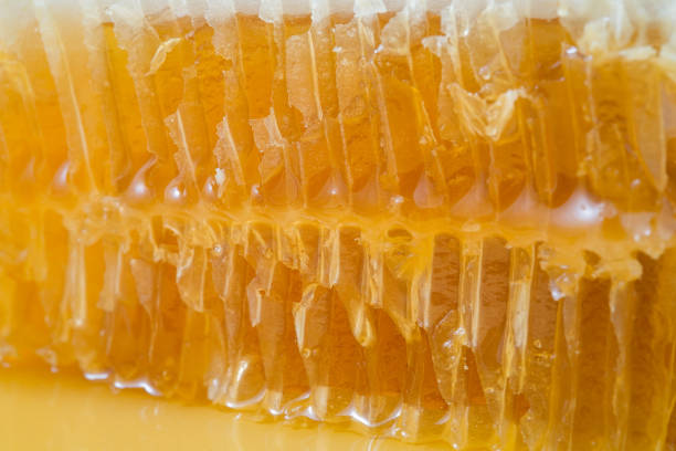 istock Bee honeycombs with honey closeup, a natural background 999411192