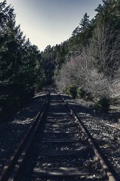 Railroad track in the dark through a forest