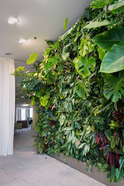 mur de salon vert avec fleurs et plantes, jardin vertical à l’intérieur - vertical garden photos et images de collection