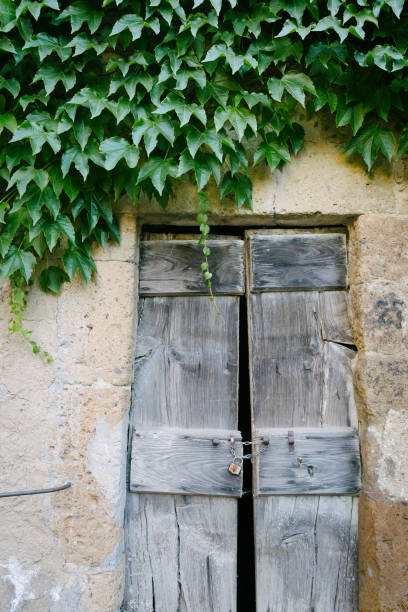 istock Wooden door with plants 999460092