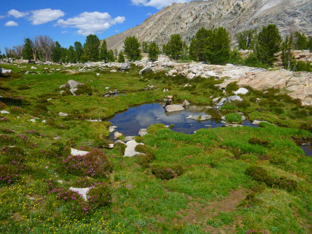 estanques de boulder lago y su belleza. - idaho sun valley idaho lake ketchum fotografías e imágenes de stock