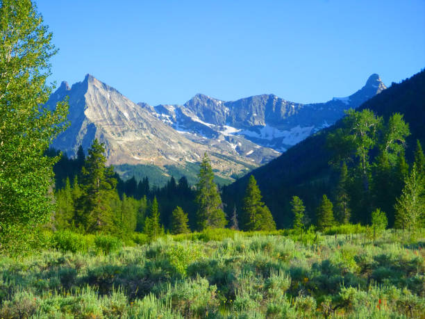 istock On the Trail to Boulder Lake. 999504946