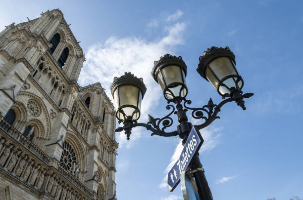 View of the Nôtre Dame Cathedeal in Paris