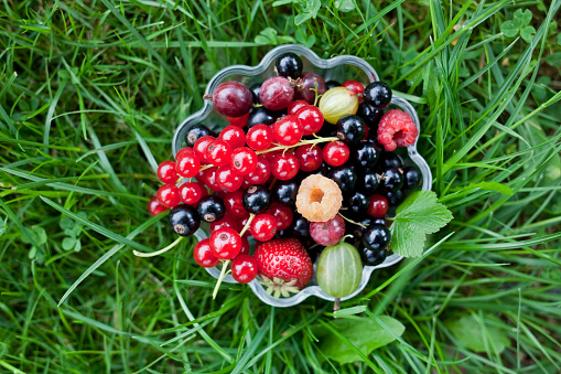 fresh organic fruits in a glass bowl on green grass