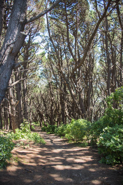istock Mt. Victoria Film Location 999604022