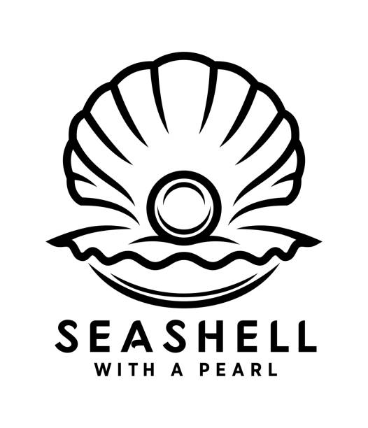 seashell with pearl outline icon Pearl in sea shell vector icon. Outline silhouette of open seashell with a pearl inside. pearl jewellery stock illustrations