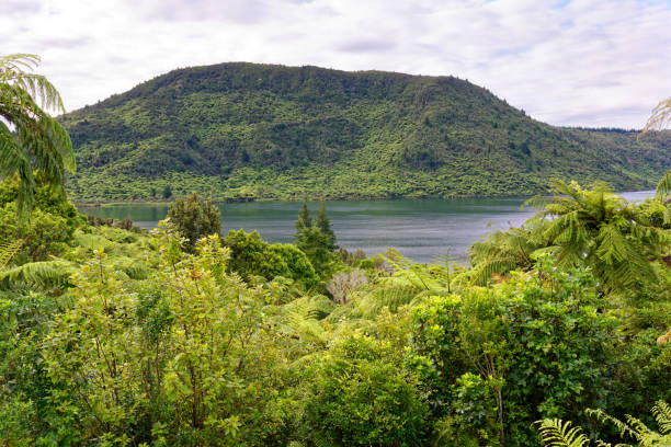 istock Lake Rotokakahi (Green Lake) in Rotorua 999659952