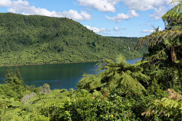 istock Lake Rotokakahi (Green Lake) in Rotorua 999670514
