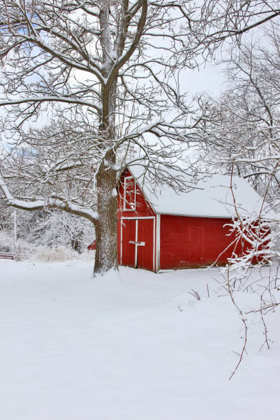 istock Beautiful snowy winter landscape. 999676850