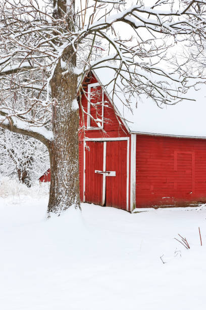istock Beautiful snowy winter landscape. 999676862