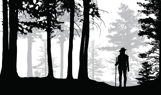 woman hiking in the wood, vector illustration