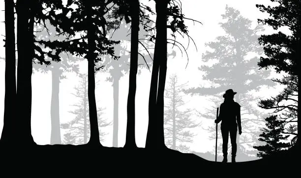 Vector illustration of Lost Hiker In The Woods