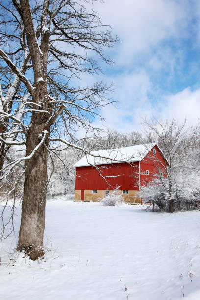 istock Beautiful snowy winter landscape. 999691972