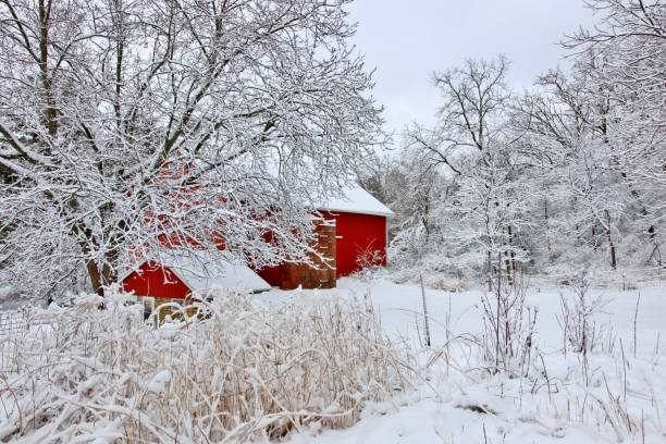 istock Beautiful snowy winter landscape. 999692016