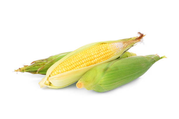 istock ear corns isolated on white background 999707058