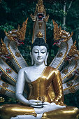 buddhistische-statue-mit-gold-leitete-drachen.jpg?b=1&s=170x170&k=20&c=5VMHLFrIue9kfnz47BWt1n1UGd9-3cjs4DB_Rs2Wozc=