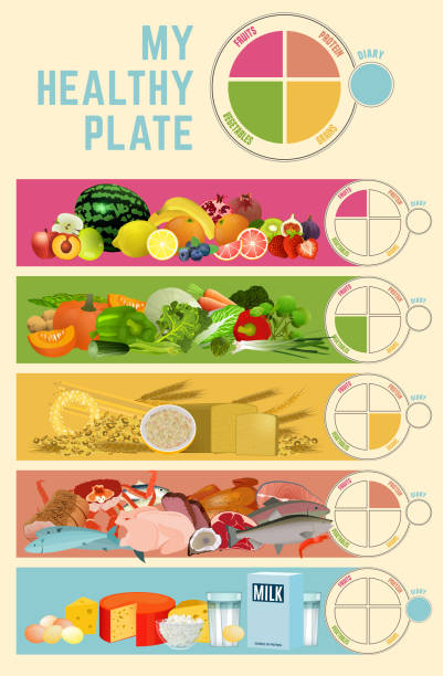 Healthy eating plate Healthy eating plate concept. Infographic chart with proper nutrition proportions. Food balance tips. Vector illustration isolated on a light beige background. Vertical poster. serving size stock illustrations