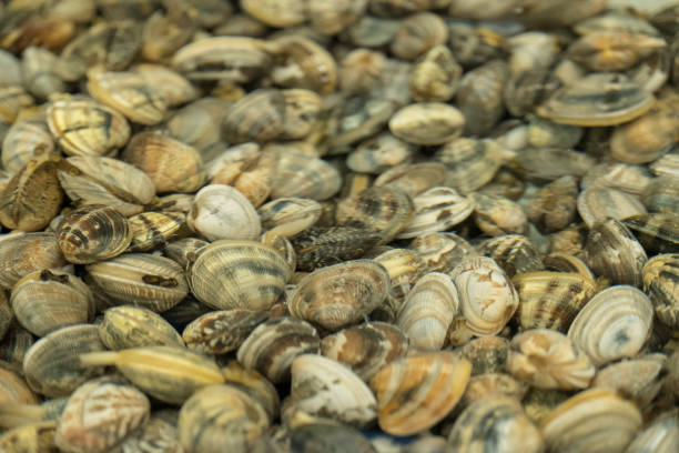 istock Sea food 999757378